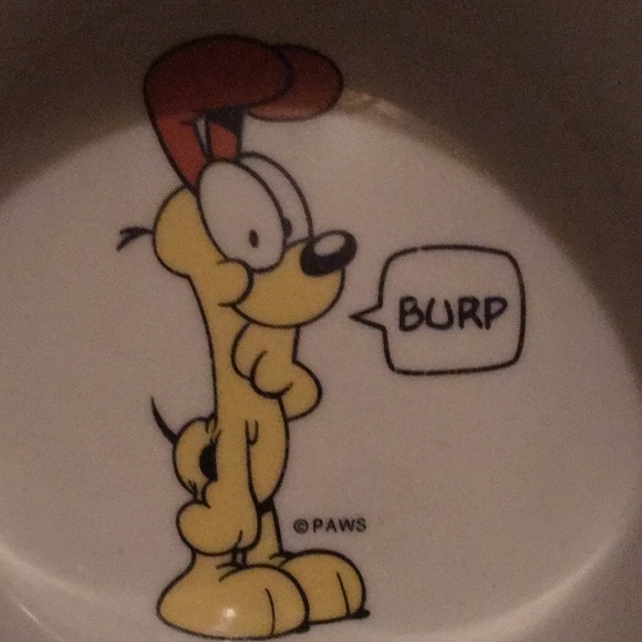 DOG BOWL - Picture 8 of 8